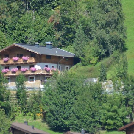 Ferienhaus Rieder Wald im Pinzgau Buitenkant foto