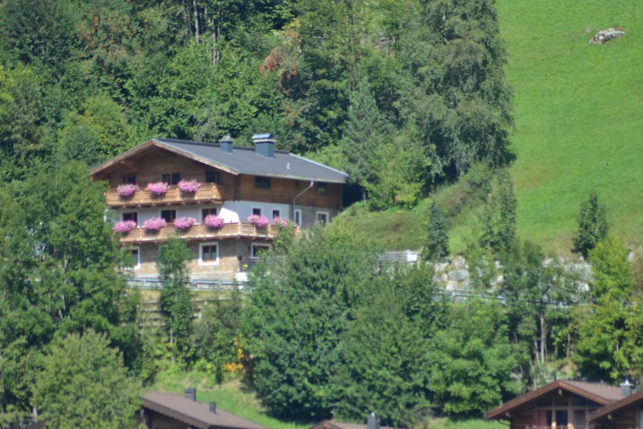 Ferienhaus Rieder Wald im Pinzgau Buitenkant foto